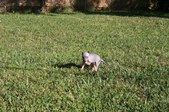 Enlarge photo 104