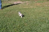 Enlarge photo 118