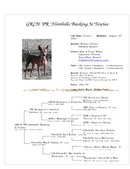 Enlarge Microsoft Word Document 133