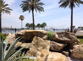 Enlarge photo 36