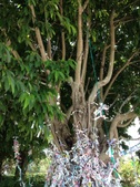 Enlarge photo 38