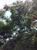 Enlarge photo 40
