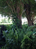 Enlarge photo 41