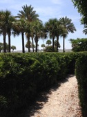 Enlarge photo 42