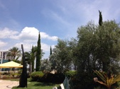 Enlarge photo 46