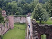 Enlarge photo 15