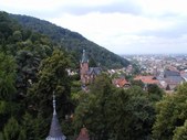 Enlarge photo 42