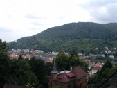 Enlarge photo 37