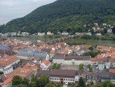 Enlarge photo 62