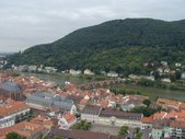 Enlarge photo 39