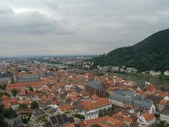 Enlarge photo 41