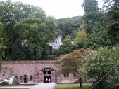 Enlarge photo 48