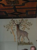 Enlarge photo 52