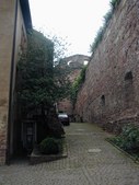 Enlarge photo 55