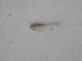 Enlarge photo 57