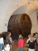 Enlarge photo 59