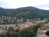 Enlarge photo 64