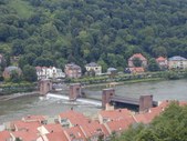 Enlarge photo 65
