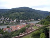 Enlarge photo 66