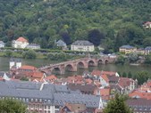 Enlarge photo 63