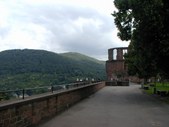 Enlarge photo 74
