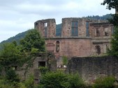 Enlarge photo 77