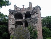 Enlarge photo 85