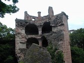 Enlarge photo 86