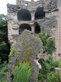Enlarge photo 83