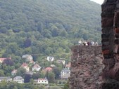 Enlarge photo 93