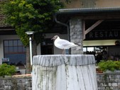Enlarge photo 26