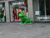 Enlarge photo 86