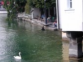 Enlarge photo 93