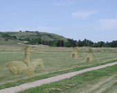 North Dakota