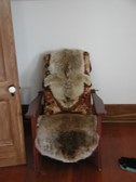 Enlarge photo 32