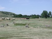 Enlarge photo 39
