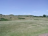Enlarge photo 40