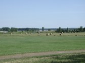 Enlarge photo 44