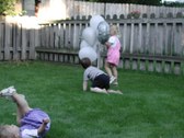 Enlarge photo 209