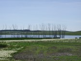 Enlarge photo 215
