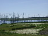 Enlarge photo 216