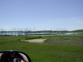Enlarge photo 217