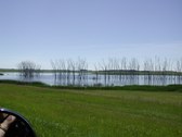 Enlarge photo 218