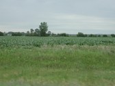 Enlarge photo 77