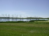 Enlarge photo 219