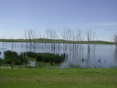 Enlarge photo 220