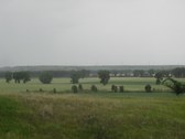 Enlarge photo 79