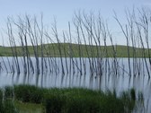 Enlarge photo 221