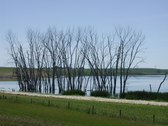 Enlarge photo 222