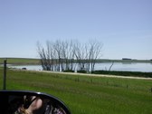 Enlarge photo 223